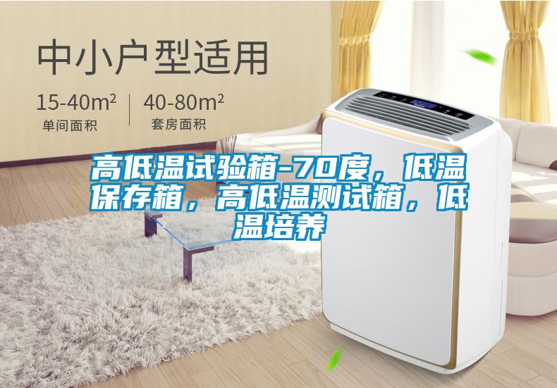 高低溫試驗(yàn)箱-70度,低溫保存箱,高低溫測試箱,低溫培養(yǎng)