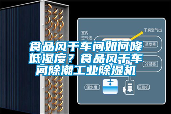 食品風干車間如何降低濕度？食品風干車間除潮工業除濕機