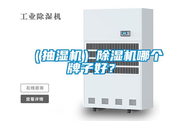 (抽濕機)除濕機哪個牌子好?