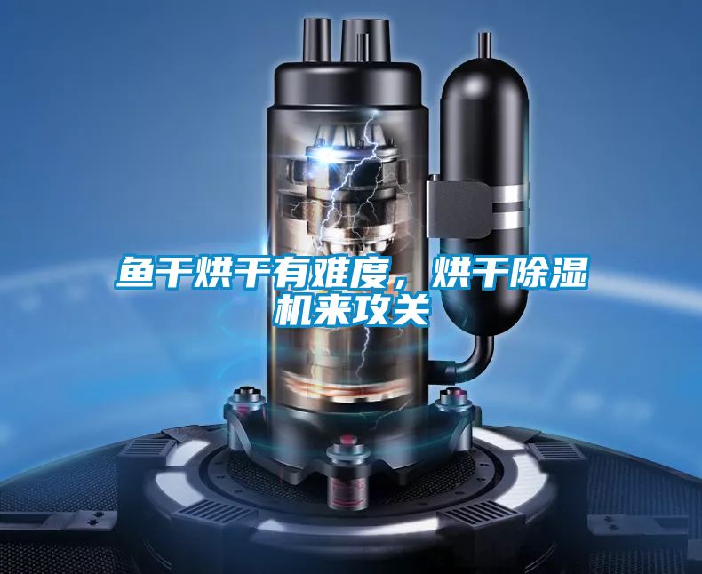 魚干烘干有難度,烘干除濕機(jī)來攻關(guān)