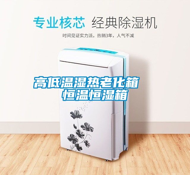 高低溫濕熱老化箱 恒溫恒濕箱